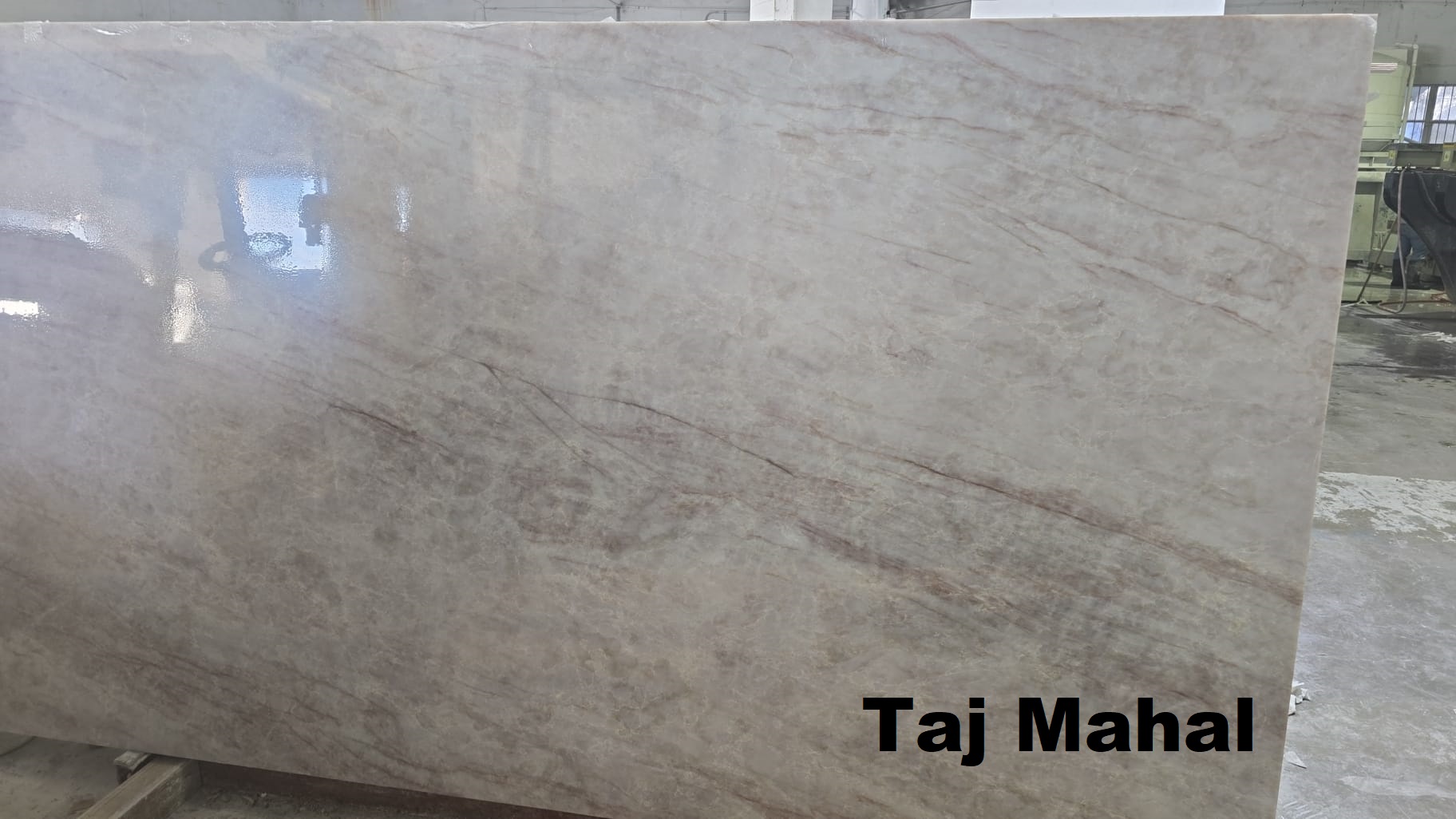 Taj Mahal Slab - OCC My Stone